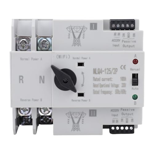Ausla Dual Power Transfer Switch, Smart WiFi Dual Power Switch 2p 100A Automatische Übertragung für das Heimfabrik Labor 50/60 Hz DIN Rail Mount von Ausla