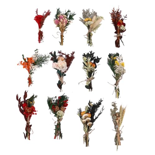 Ausla Getrocknete Blumen, 12 Stück Mini Getrocknete Natur Dryflowers Strauß Handgemachte Deko für Hochzeitsvasen & Esstischdekoration von Ausla