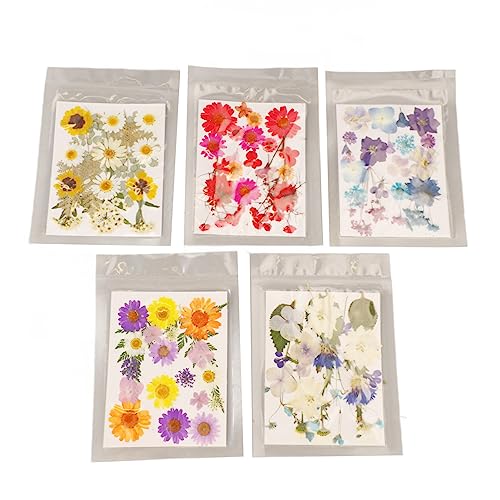 Ausla Getrocknete Gepresste Blumen, 100 Gepresste Getrocknete Blumen für Harzformen, Trockenblätter in Großpackung, Bunte Gänseblümchen-Kräutermischung für DIY Kerzen Schmuck (Typ 1) von Ausla
