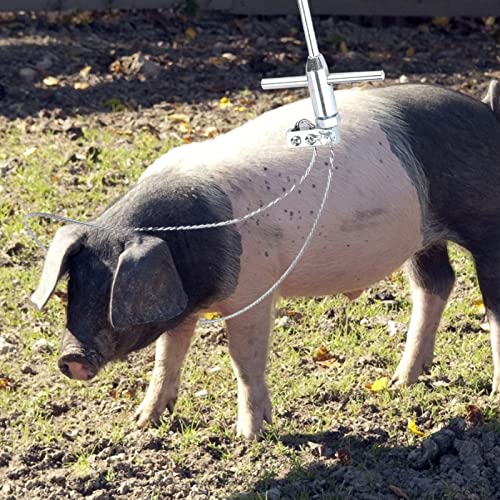 Ausla Schweinempfezerhalter, Bequemes Hakendesign, Mehrsträngige Stahldraht, Drahtseil, Einfache Längeskontrolle, Einstellbare Spannung, Stabil für die Landwirtschaft, Langlebigkeit und Sicherheit, von Ausla