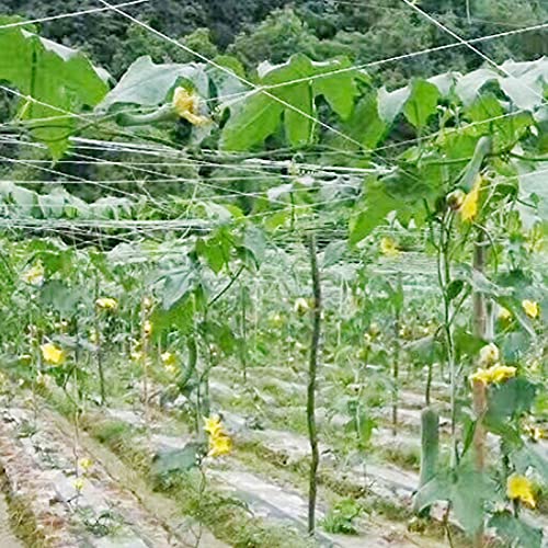 Ausla Trellis Neting Plant Support Mesh Climbing Net für Erbsengurken Garten Gemüse 3,5 X 100 M Starkes Polyethylenmaterial Leicht zu Installierbar von Ausla