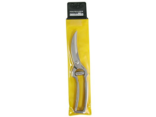 AUSONIA - 71430 GEFLÜGELSCHERE GAZZELLA AUS EDELSTAHL 24 CM AUSONIA - 71430 GEFLÜGELSCHERE GAZZELLA AUS EDELSTAHL 24 CM von AUSONIA