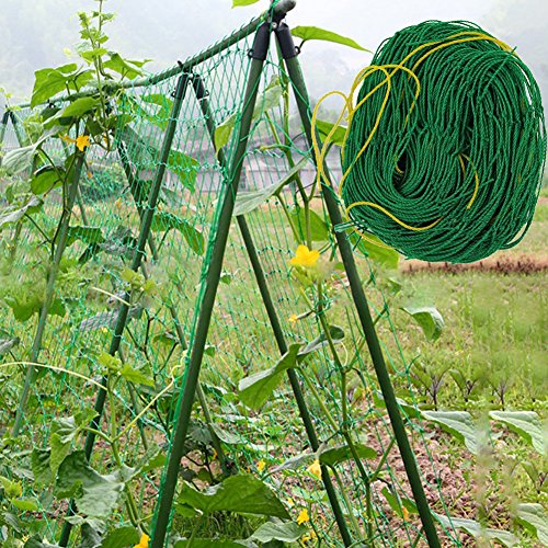 Austinstore Gemüse und Obst Rankhilfe für Kletterpflanzen Rankgitter Rankgitter Ranknetz Kletternetz Kletterbohnen Pflanzennetze Grow Fence Grün von Austinstore