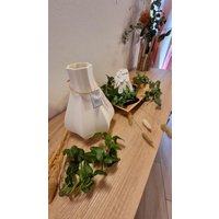 Vase, Dekovase , Pampasgras, Dekoration, Eukalyptus, Bouquet, Schleierkraut, Für Trockenblumen/3D Druck | Wasserdicht Möglich Vase, Dekovase , Pampasgras, Dekoration, Eukalyptus, Bouquet, Schleierkraut, Für Trockenblumen/3D Druck | Wasserdicht Möglich von AustriaPrint3D