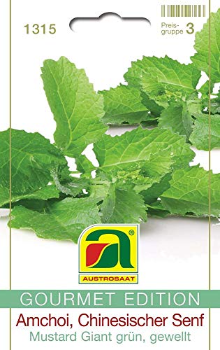 Austrosaat 1315 Amchoi Mustard Giant grün (Amchoi Samen) von Austrosaat