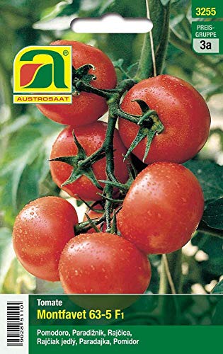 Austrosaat 3255 Tomaten Montfavet 63-5 F1 (Tomatensamen) von Austrosaat