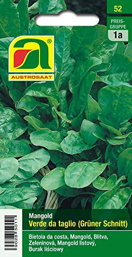 Austrosaat 52 Mangold Verde da taglio (Mangoldsamen) von Austrosaat