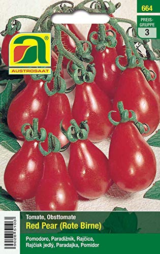 Austrosaat 664 Tomaten Red pear (Tomatensamen) von Austrosaat