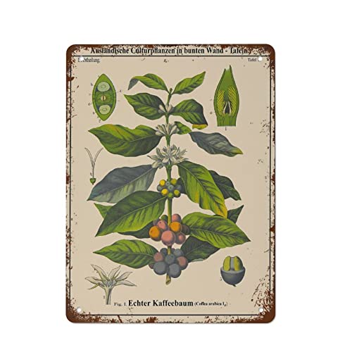 Coffee Botanical Poster Coffea Coffee Poster Cafe Decor Cafe Wall Art Vintage Tin Sign Metal Sign Retro Wall Decor for Home Cafes Office Store Pubs Club Sign Gift 8x12 Inch Plaque Tin Sign Coffee Botanical Poster Coffea Coffee Poster Cafe Decor Cafe Wall Art Vintage Tin Sign Metal Sign Retro Wall Decor for Home Cafes Office Store Pubs Club Sign Gift 8x12 Inch Plaque Tin Sign von Authere