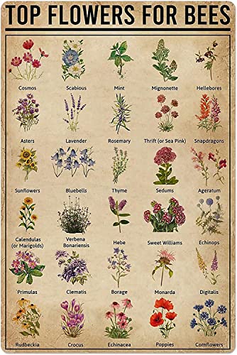 Lustiges Pflanzenwissen Metall-Blechschild, Vintage-Stil, Blumen für Bienen, Poster, Wanddekoration, Plakette, Bauernhof, Garten, Blumenladen, Café, Club, Garage, Zuhause, Bar, Pub, Esszimmer, 20,3 x Lustiges Pflanzenwissen Metall-Blechschild, Vintage-Stil, Blumen für Bienen, Poster, Wanddekoration, Plakette, Bauernhof, Garten, Blumenladen, Café, Club, Garage, Zuhause, Bar, Pub, Esszimmer, 20,3 x von Authere