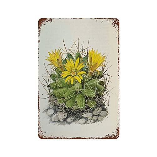 Lustiges Retro-Blechschild Kaktus, botanisch blühende Kakteen, Geburtstag, Ruhestand, Geschenk, Wanddekoration, Küche, Bad, Restaurants, Backen, 20,3 x 30,5 cm von Authere