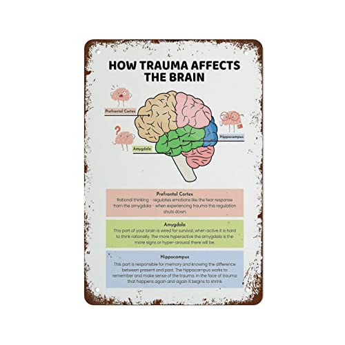 Lustiges Vintage-Blechschild, Dekoration, Aufschrift "How Trauma Affects The Brain Therapy Office Decor Trauma Therapy Sign for Home Kitchen Wall Bar Coffee Shop Decoration Gift For Women Men 8x12 Lustiges Vintage-Blechschild, Dekoration, Aufschrift "How Trauma Affects The Brain Therapy Office Decor Trauma Therapy Sign for Home Kitchen Wall Bar Coffee Shop Decoration Gift For Women Men 8x12 von Authere