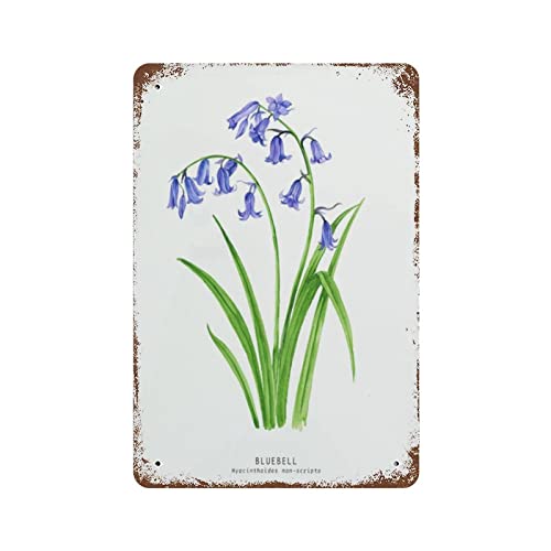Vintage Metall-Blechschild Bluebell Valentinstag Schild Lustige Neuheit Küche Bar Club Garage Garten Home Decor Wandkunst Blechschilder 20,3 x 30,5 cm Vintage Metall-Blechschild Bluebell Valentinstag Schild Lustige Neuheit Küche Bar Club Garage Garten Home Decor Wandkunst Blechschilder 20,3 x 30,5 cm von Authere