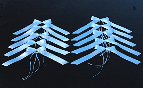 Autoschmuck 10 Stücke Antennenschleife Türgriffschleife Autoschleife Hochzeit (Weiß B-10) von Auto-schmuck so einfach so kreativ