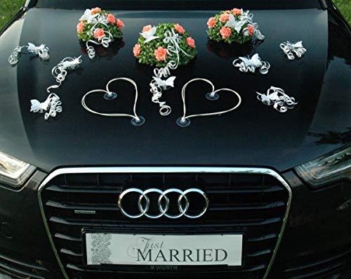 BUCHSBAUM Auto Schmuck Braut Paar Rose Deko Dekoration Autoschmuck Hochzeit Car Auto Wedding Deko Ratan Girlande PKW (Rosa) von Auto-schmuck so einfach so kreativ