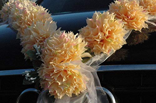 DAHLIEN Girlande Auto Schmuck Braut Paar Rose Deko Dekoration Autoschmuck Hochzeit Car Auto Wedding Deko PKW (Lemon/Weiß) von Auto-schmuck so einfach so kreativ