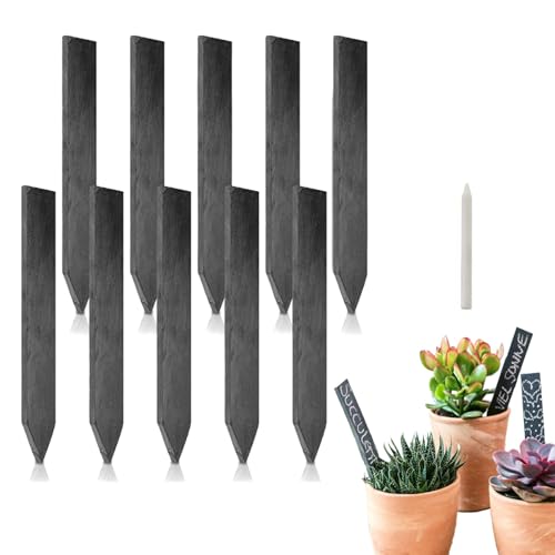10 Stück Pflanzenschilder Schiefertafel zum Beschriften Kräuterschilder Schiefer Pflanzschilder für Draussen Schiefer Pflanzenstecker zum Beschriften Wetterfest Inklusive Weißem Steinstift (15cm*2cm) von AutoPrevails