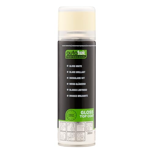 AutoTek Professional High Gloss White Spray Paint, Aerosol Spray, 300 ml von Autotek