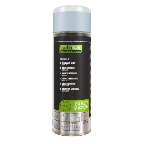 Autotek Professional Exact Match Car Spray Paint - Renault Mercury Grey Aerosol Spray 300ml von Autotek