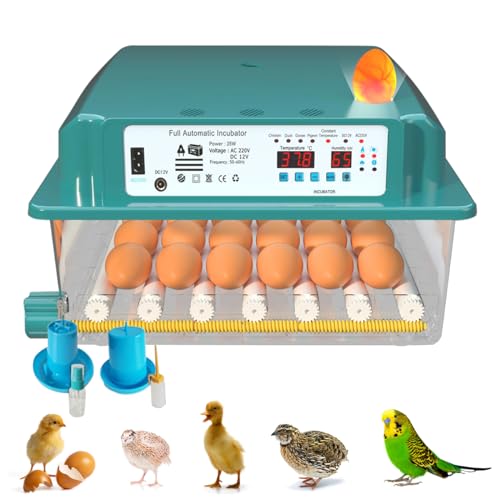 Auveach Automatischer Inkubator für Eier, 35 W, Inkubator für 36 Eier, Huhn, automatische Drehung, automatische Temperaturregelung, verstellbares Eierbehälter, elektrisches Design, doppelt von Auveach