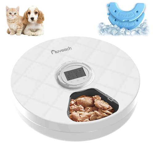 Auveach Futterautomat Katze Nassfutter Automat mit 2 Kühlakkus/Intelligenter Timer, 6 Mahlzeiten Automatischer Futterspender mit Schützen Pfoten/Abdeckung Design von Auveach