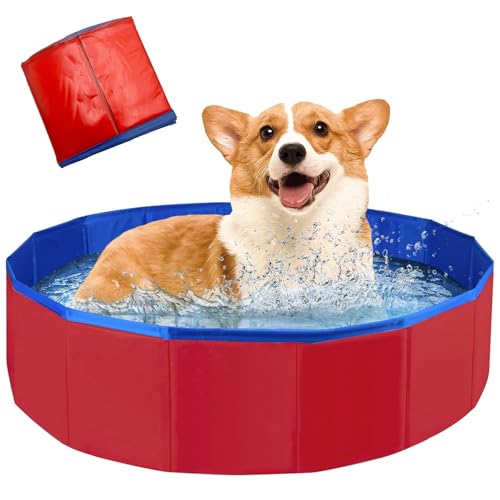 Faltbarer Hundepool,Hundepool Schwimmbad für Hunde,Hunde Planschbecken,Schwimmbecken für Katzen,rutschfeste und Verdickt PVC,Tragbare,für Kleine Hunde Katze,60x20cm von Auzlya