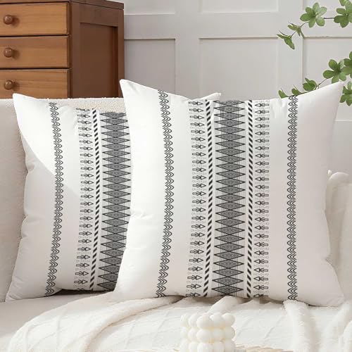 Avalune Kissenbezug 40x40 Herbst Grau Kissen Sofakissen Samt Kissenhülle Boho Kissenbezüge Modern Minimalistisch Dekorative Kopfkissenbezug für Sofa Wohnzimmer Schlafzimmer Bett Deko 2er Set von Avalune