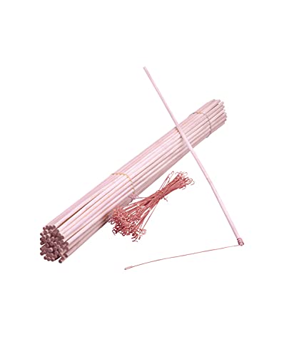 Laternenstäbe mit Halter 50Stück / 60 cm [Spielzeug] von Avantgarde