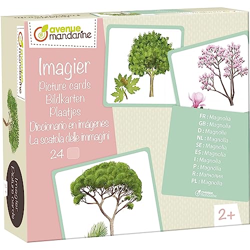 Avenue Mandarine JE525C - Bildkarten, 24 Karten in 10 Sprachen, 11,5x12,7 cm, Bäume, 1 Box von Avenue Mandarine
