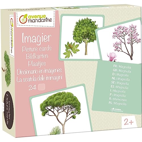 My Mandarine JE525C - Bildkarten, 24 Karten in 10 Sprachen, 11,5x12,7 cm, Bäume, 1 Box von Avenue Mandarine