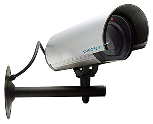 Avidsen - Kamera – Security Cameras (mit Kabel, Außen, Schwarz, Silber, Wand), Verwendung: Außen oder Innenbereich, wetterfest, Kontrollleuchte – 123054 von Avidsen