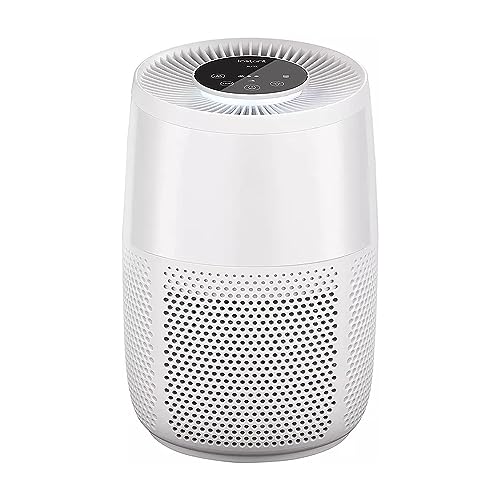 Avilia Luft-Ionisator AP100: Atmen Sie frische und gesunde Luft (weiß) von Avilia