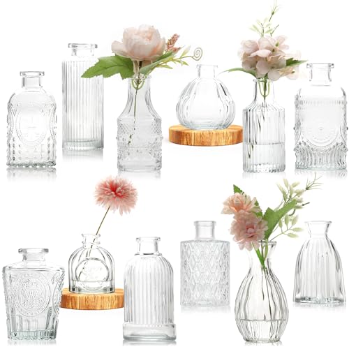 Avmvnvc Vasen Set, 12Set Kleine Glasvase Vintage Mini Vasen Deko Set Verschiedene Groessen Blumenvase für Hochzeitsdekorationen Transparent, Tischdeko Mittelstücke von Avmvnvc