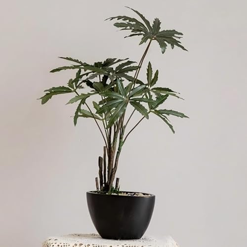 Avoeco Gefälschte Pflanze mit Kieselsteinen & Keramiktopf - Realistische Kunstpflanze für Büro und Zuhause Dekorationen, Perfekt für Japanischen & Modernen Stil (Schwarz) von Avoeco