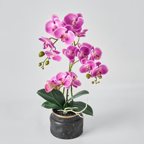 Avoeco Künstliche Orchidee, fühlt sich echt an, 50,8 cm, künstliche Phalaenopsis im Topf, sehr realistische Seidenorchidee mit Blume und Blattstruktur für Zuhause, Büro, Geschäft und Avoeco Künstliche Orchidee, fühlt sich echt an, 50,8 cm, künstliche Phalaenopsis im Topf, sehr realistische Seidenorchidee mit Blume und Blattstruktur für Zuhause, Büro, Geschäft und von Avoeco