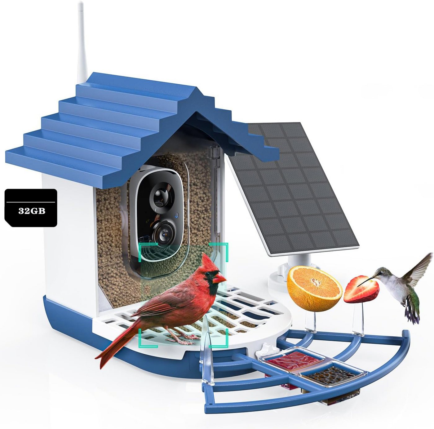Avylet Überwachungskamera 2K Vogelhäuschen mit Kamera, Solar, KI-Vogelerkennung, mit TF Karte (Innen, Outdoor, Außenbereich, 170° Visualwinkel, H.264/MP4, Echtzeit-Beobachtung, KI-Vogelidentifikation, 10.000 Vogelarten, 2L Futterbehälter) Avylet Überwachungskamera 2K Vogelhäuschen mit Kamera, Solar, KI-Vogelerkennung, mit TF Karte (Innen, Outdoor, Außenbereich, 170° Visualwinkel, H.264/MP4, Echtzeit-Beobachtung, KI-Vogelidentifikation, 10.000 Vogelarten, 2L Futterbehälter) von Avylet
