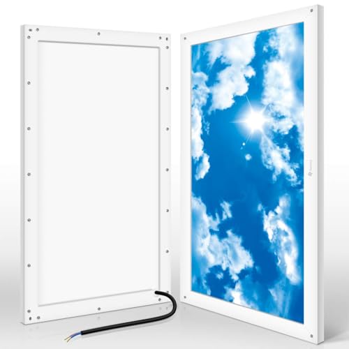Awenia 24W LED Deckenleuchte Dimmbar 30x60 Panel Lampe Neutralweiß KaltWeiß (4000K-6500K) Flimmerfrei Deckenlampe 2400lm Wandlampe für Schlafzimmer Küchen Esszimmer Wohnzimmer Balkon Büro von Awenia