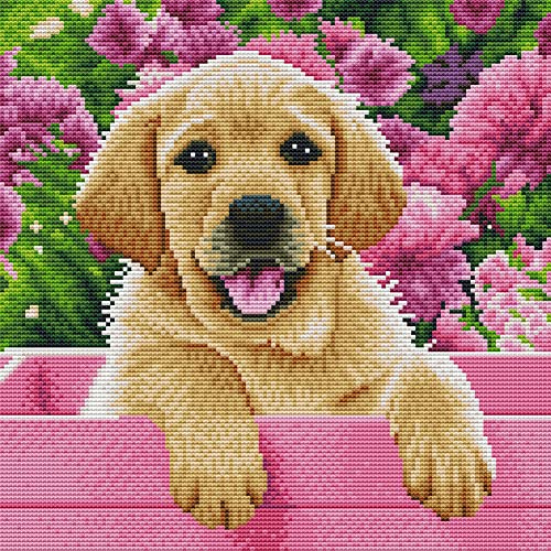 Awesocrafts Kreuzstich Stickpackungen Vorgedruckt Labrador Hund Labradoodle Welpe Bilder Vorlagen Sticken Set Vorgedruckt 11CT 3 Stränge Awesocrafts Kreuzstich Stickpackungen Vorgedruckt Labrador Hund Labradoodle Welpe Bilder Vorlagen Sticken Set Vorgedruckt 11CT 3 Stränge von Awesocrafts