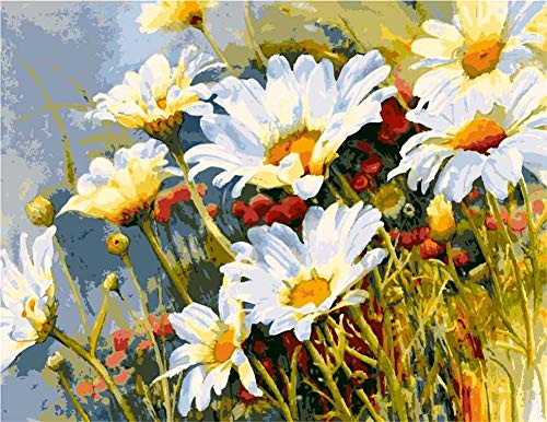 Awesocrafts Malen nach Zahlen-Kit, Sonnenschein, weiße Gänseblümchen, Zahlen-Gemälde für Erwachsene und Kinder, 40 x 50 cm, (Gänseblümchen, kein Rahmen) von Awesocrafts