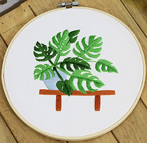 Awesocrafts Stickset, Monstera-Blätter, tropische Pflanzen, komplettes Sortiment an Stickerei-Starter-Sets für Anfänger, Erwachsene, Kinder, DIY handgefertigte einfache Muster (Monstera) von Awesocrafts