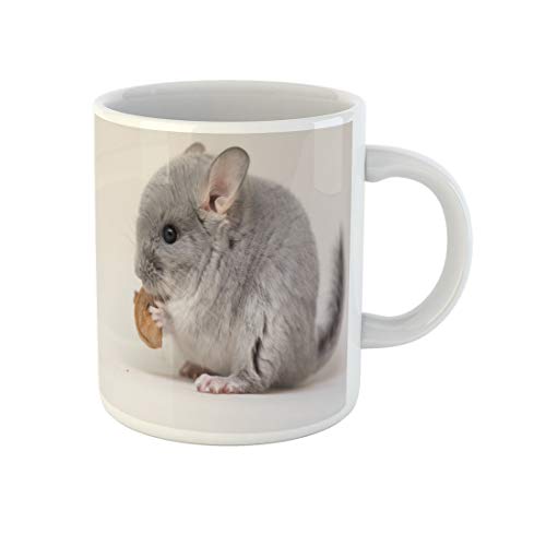 Awowee Graue hausgemachte Chinchilla Ratte Cute Animal Fun Beautiful Ohr 325ml Teetasse Keramiktasse Bestes Geschenk oder Souvenir für Familie, Freunde, Kollegen von Awowee
