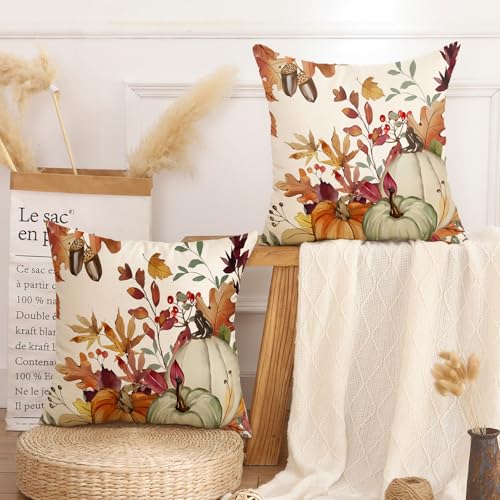 AwzyGous Kissenbezug 40x40 cm Herbst Kissenhülle Orange Kürbis Blatt Deko Sofakissen Kissenbezüge Herbstdeko Pillow Case Outdoor Kissen Bezug für Schlafzimmer Wohnzimmer Couch Zierkissen 2er Set AwzyGous Kissenbezug 40x40 cm Herbst Kissenhülle Orange Kürbis Blatt Deko Sofakissen Kissenbezüge Herbstdeko Pillow Case Outdoor Kissen Bezug für Schlafzimmer Wohnzimmer Couch Zierkissen 2er Set von AwzyGous