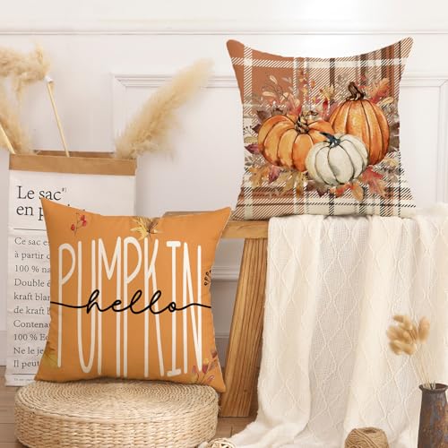 AwzyGous Kissenbezug Herbst Deko Orange Kürbis Ahornblatt Kariert Pumpkin Dekokissen Kissenhülle Sofakissen Bezug 40x40 cm Couchkissen für Sofa Sessel Schlafzimmer Halloween Thanksgiving 2er Set AwzyGous Kissenbezug Herbst Deko Orange Kürbis Ahornblatt Kariert Pumpkin Dekokissen Kissenhülle Sofakissen Bezug 40x40 cm Couchkissen für Sofa Sessel Schlafzimmer Halloween Thanksgiving 2er Set von AwzyGous