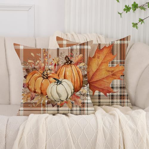 Kissenbezug Herbst Deko Orange Kürbis Ahornblatt Kariert Dekokissen Kissenhülle Sofakissen Bezug 40x40 cm Couchkissen Kuschelkissen für Sofa Sessel Schlafzimmer Halloween Thanksgiving 2er Set Kissenbezug Herbst Deko Orange Kürbis Ahornblatt Kariert Dekokissen Kissenhülle Sofakissen Bezug 40x40 cm Couchkissen Kuschelkissen für Sofa Sessel Schlafzimmer Halloween Thanksgiving 2er Set von AwzyGous