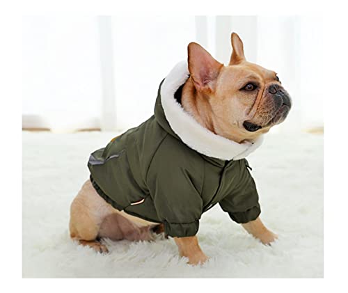 AxBALL Hund Kleidung Winter warm Hund Hund Jacke Mantel welpen Chihuahua Kleidung Hoodies for kleine mittelhunde welpen Outfit (Color : Green, Size : Medium) von AxBALL