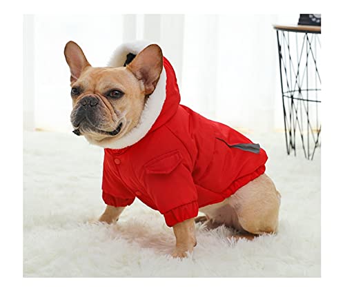 AxBALL Hund Kleidung Winter warm Hund Hund Jacke Mantel welpen Chihuahua Kleidung Hoodies for kleine mittelhunde welpen Outfit (Color : Red, Size : Small) von AxBALL