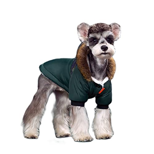 AxBALL Super warme Winterhundekleidung for kleine Hunde wasserdichte Stoff Herbst Dicke Haustier Hoodies Chihuahua Welpen Kostüm Mantel for Mops (Color : Green Coat, Size : X-Large) von AxBALL