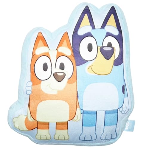 Aymax Bluey & Bingo 3D Mini‑Kissen (35 × 30 × 5 cm) – Offizielles Lizenzprodukt – Weiches Polyester‑Plüsch von Aymax