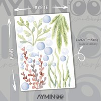 Extra Meerespflanzen Für Unterwasserwelt Wandsticker Kinderzimmer Aquarell, Unterwasser, Tiere, Pflanzen, Spielzimmer Wanddeko K2059 Extra Meerespflanzen Für Unterwasserwelt Wandsticker Kinderzimmer Aquarell, Unterwasser, Tiere, Pflanzen, Spielzimmer Wanddeko K2059 von Ayminoo