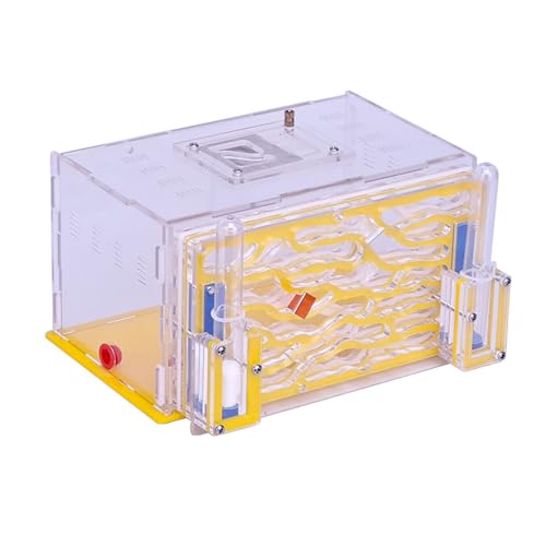 Aymzbd Gehäuse Nest Schaukasten DIY mit Futterkorb Transparent Habitat Farm für Home Wissenschaft Beobachtung Kindertag, Gelb von Aymzbd